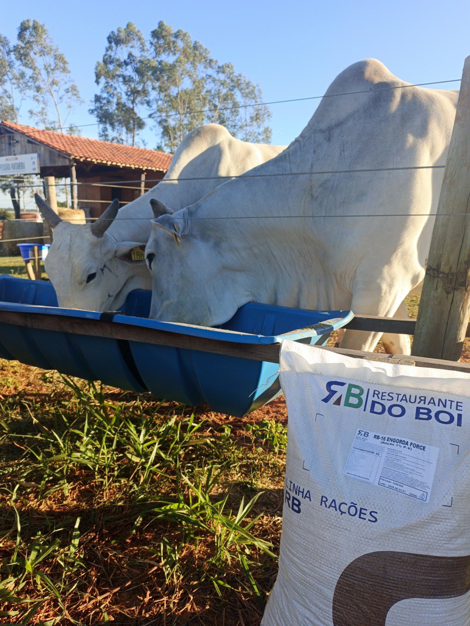 Investimento e Crescimento no Campo